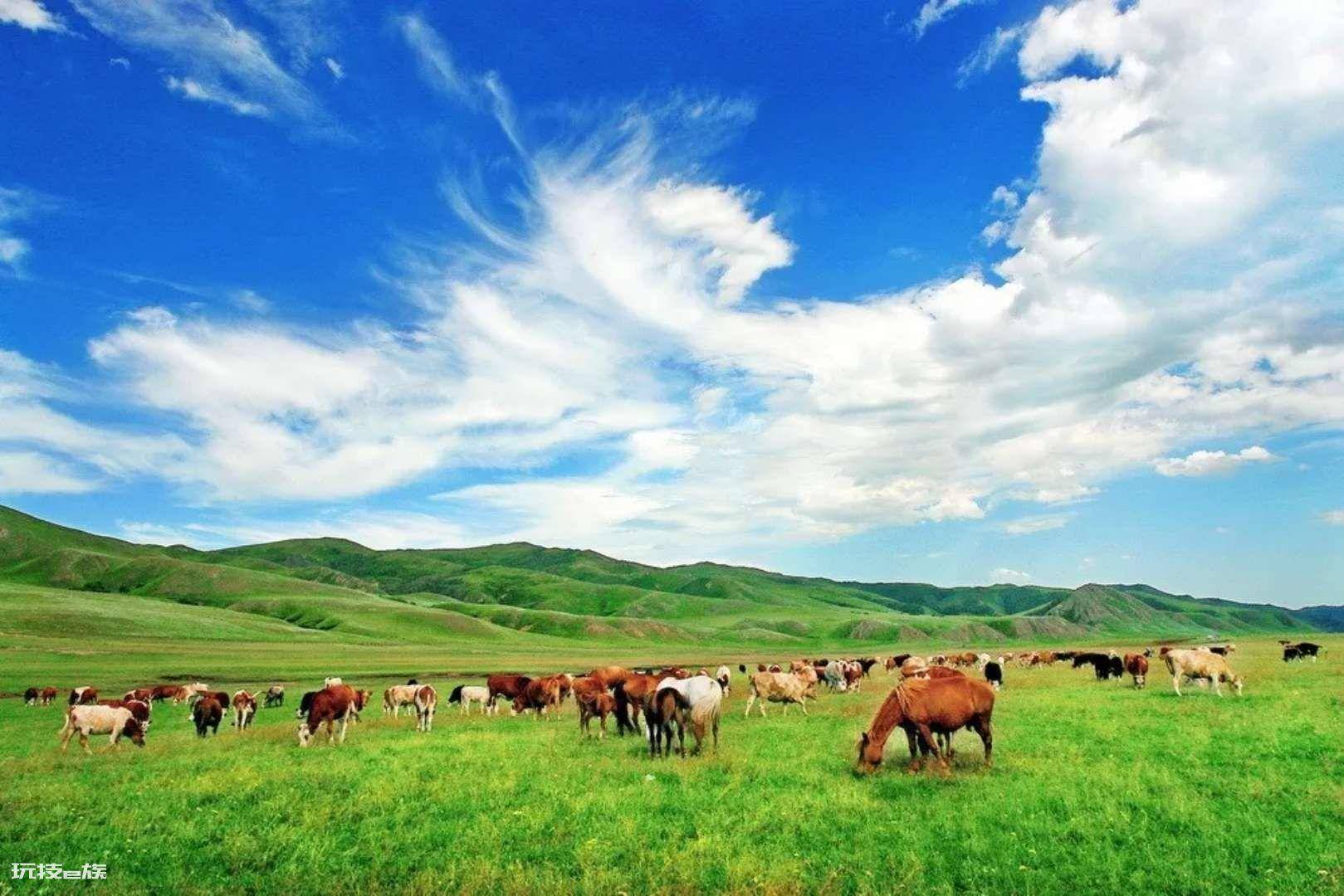 国内8月份旅游最佳地方推荐(最适合夏天玩的国内旅行地)-图片5